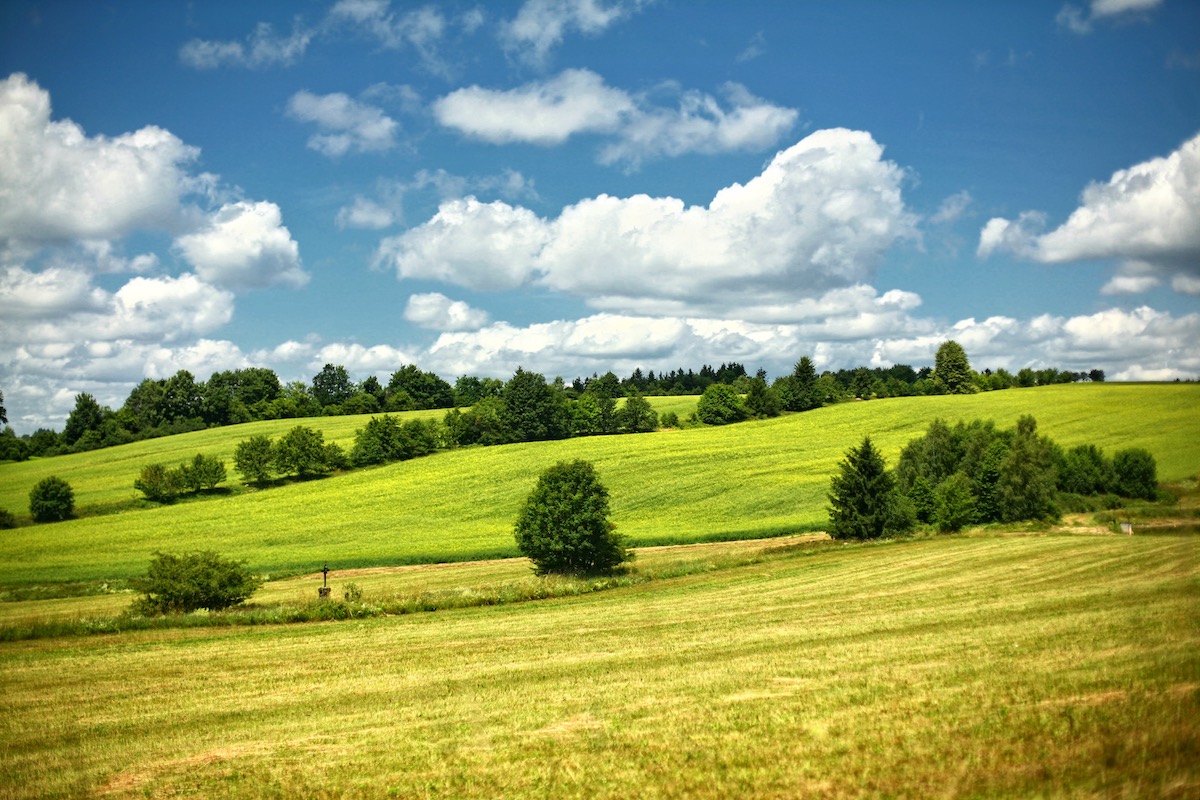 Podnikatelsk zmry - Enviroprofi